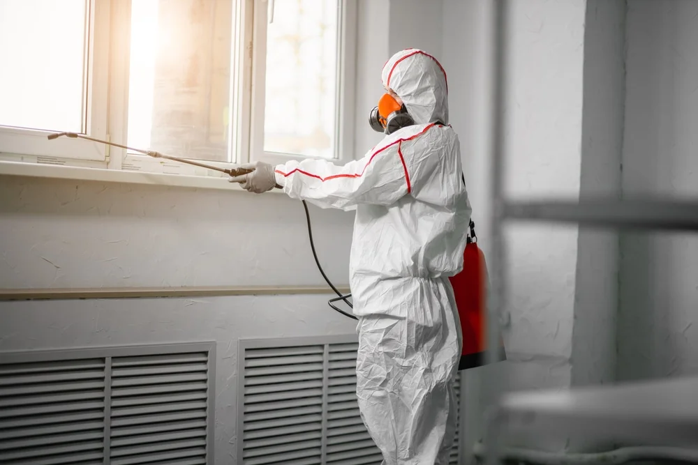 Professional mold remediation services in Rainbow Lake, NY